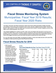 Municipalities: Fiscal Year 2019 Results; Fiscal Year 2020 Risks