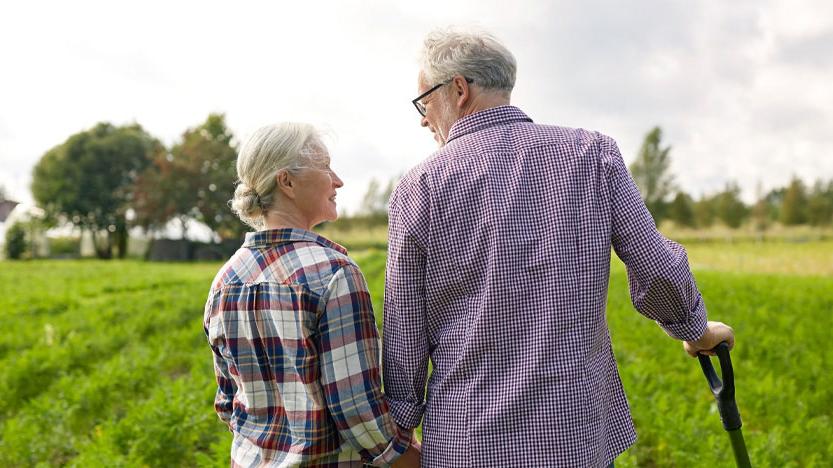 Rural scene of an older male and female holding hands and surveying their farm field.